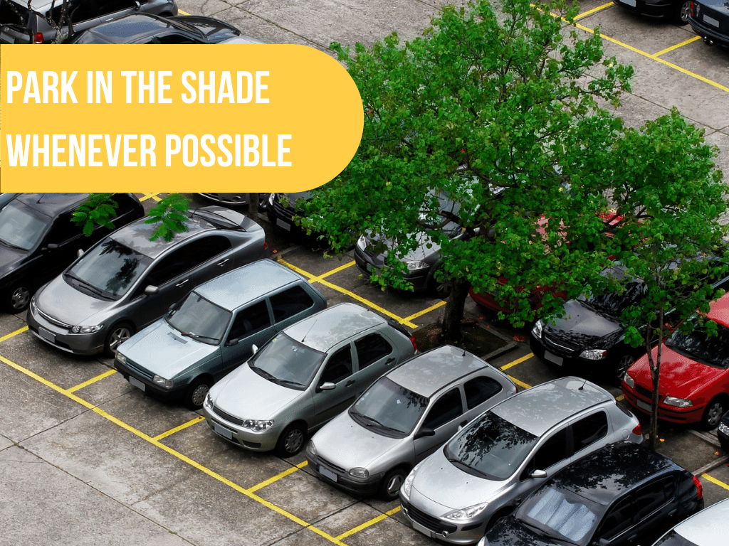 Cars parked in a shady spot under a tree