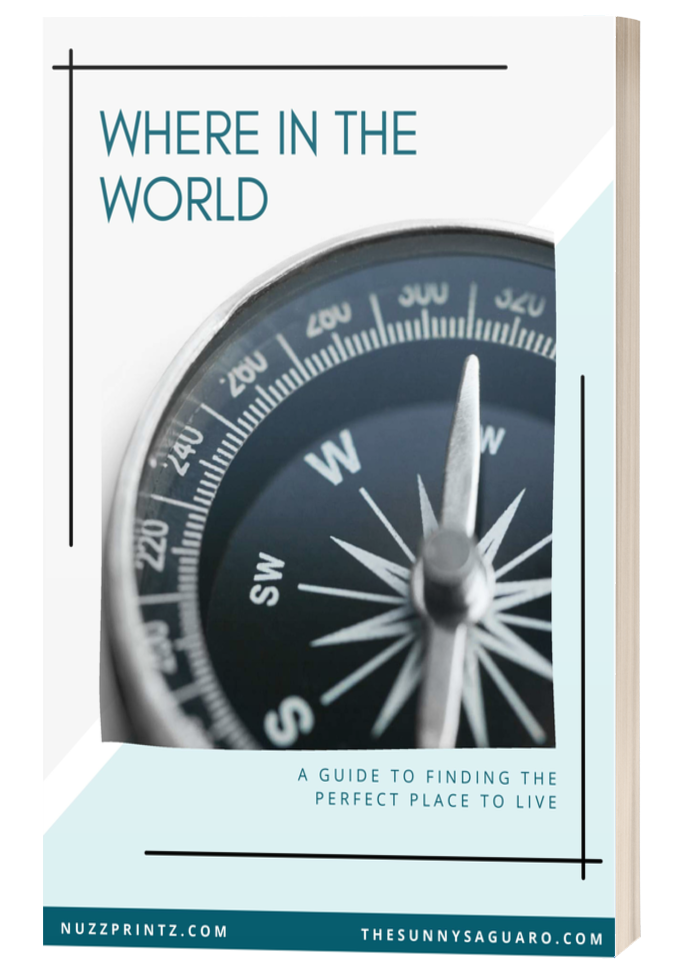 "Where in the World" book cover - a guide for helping to determine where you should live