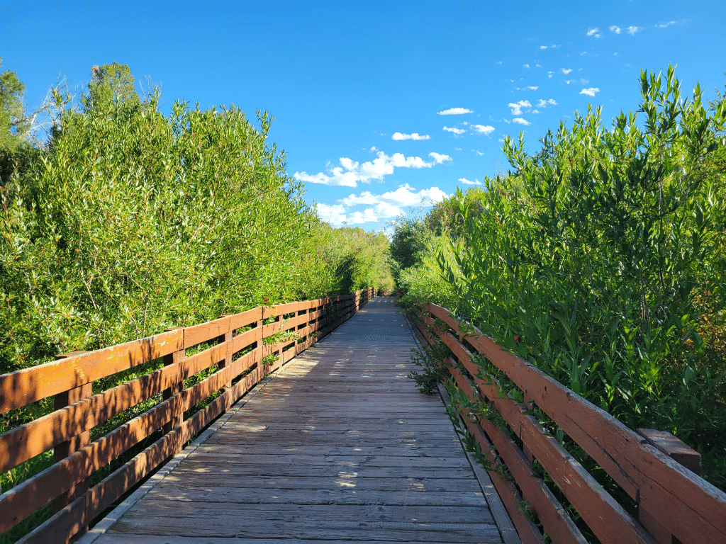 A bridge on the McCleod Creek trail in Park City, Utah