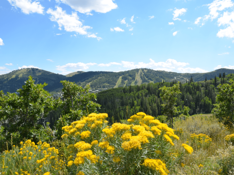 Park City Summer (or Fall) Getaway