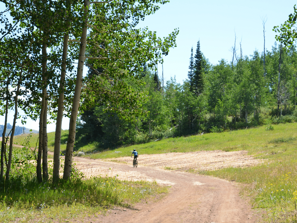 Mountain biker on a trail on Park City mountain